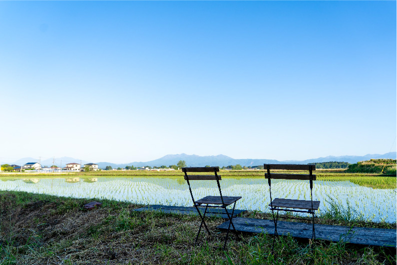 朝の田園風景