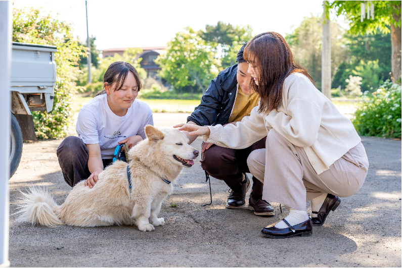 中型犬ミルとの触れ合い